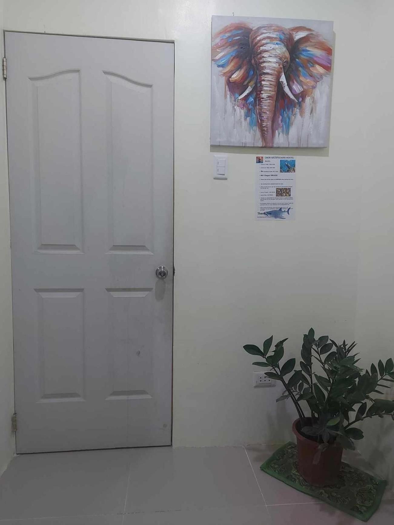 Cheri Backpackers Hostel Moalboal Zewnętrze zdjęcie
